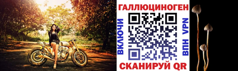 Галлюциногенные грибы Psilocybe  OMG как войти  Суоярви 
